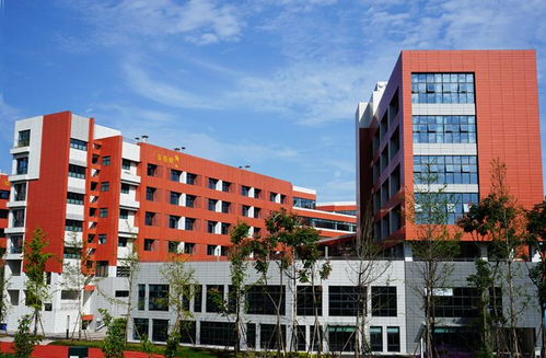 水泥纖維板氟碳漆保溫一體板 技術開發與四川生產廠家的行業領先實踐