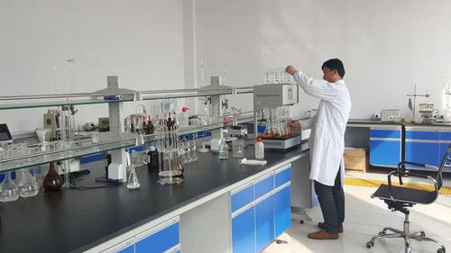 東營港經(jīng)濟開發(fā)區(qū) 以企業(yè)技術(shù)改造為抓手，驅(qū)動產(chǎn)業(yè)轉(zhuǎn)型升級與技術(shù)開發(fā)新突破